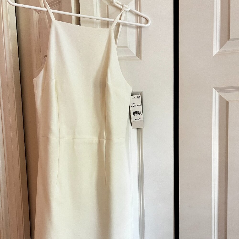 NWT French Connection Mini Dress in Ivory